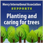 Planting_nurturing trees